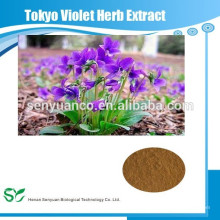 Natürlicher Kräuterextrakt Tokyo Violet Herb Extrakt Pulver